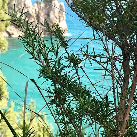 Appio Claudio Tre Oda ve Kahvaltı 4*